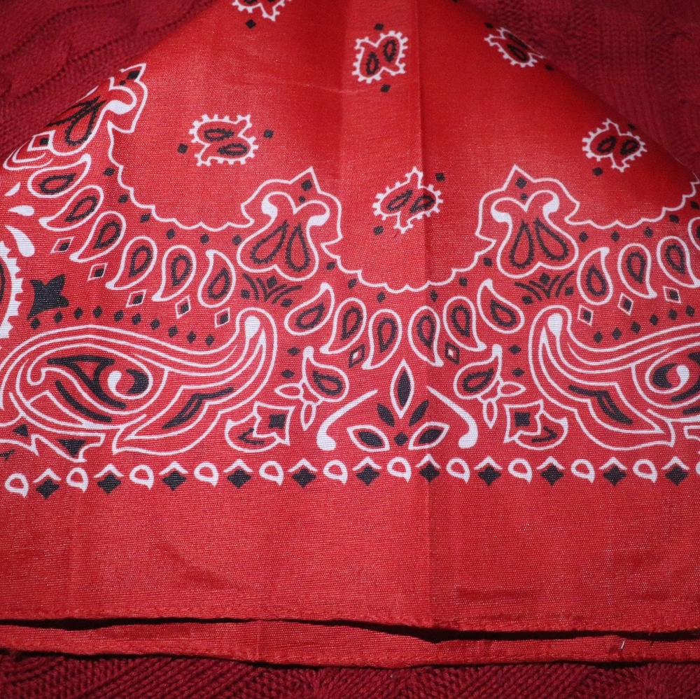 Paisley Print Bandana